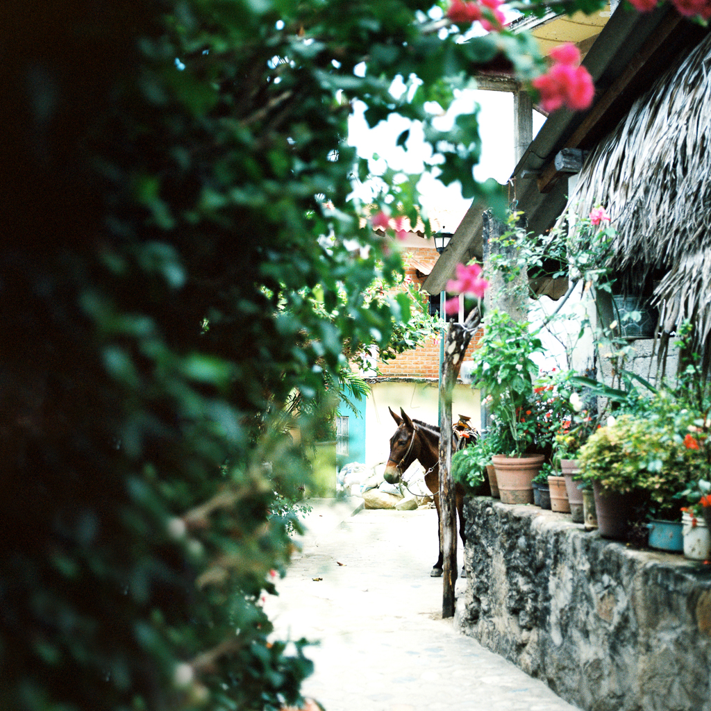 Yelapa Mexico - Taryn Baxter Photographer