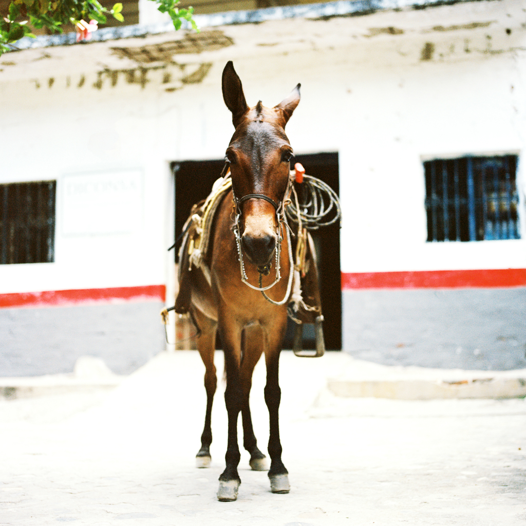 Yelapa Mexico - Taryn Baxter Photographer
