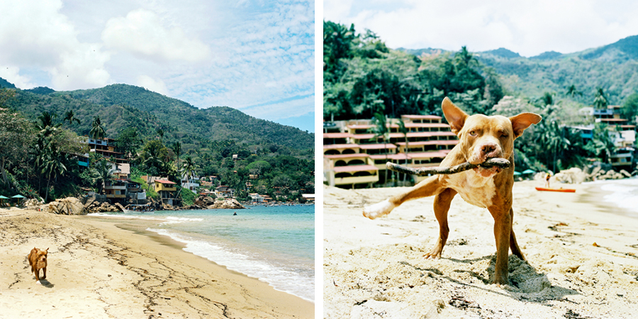 Yelapa Mexico - Taryn Baxter Photographer