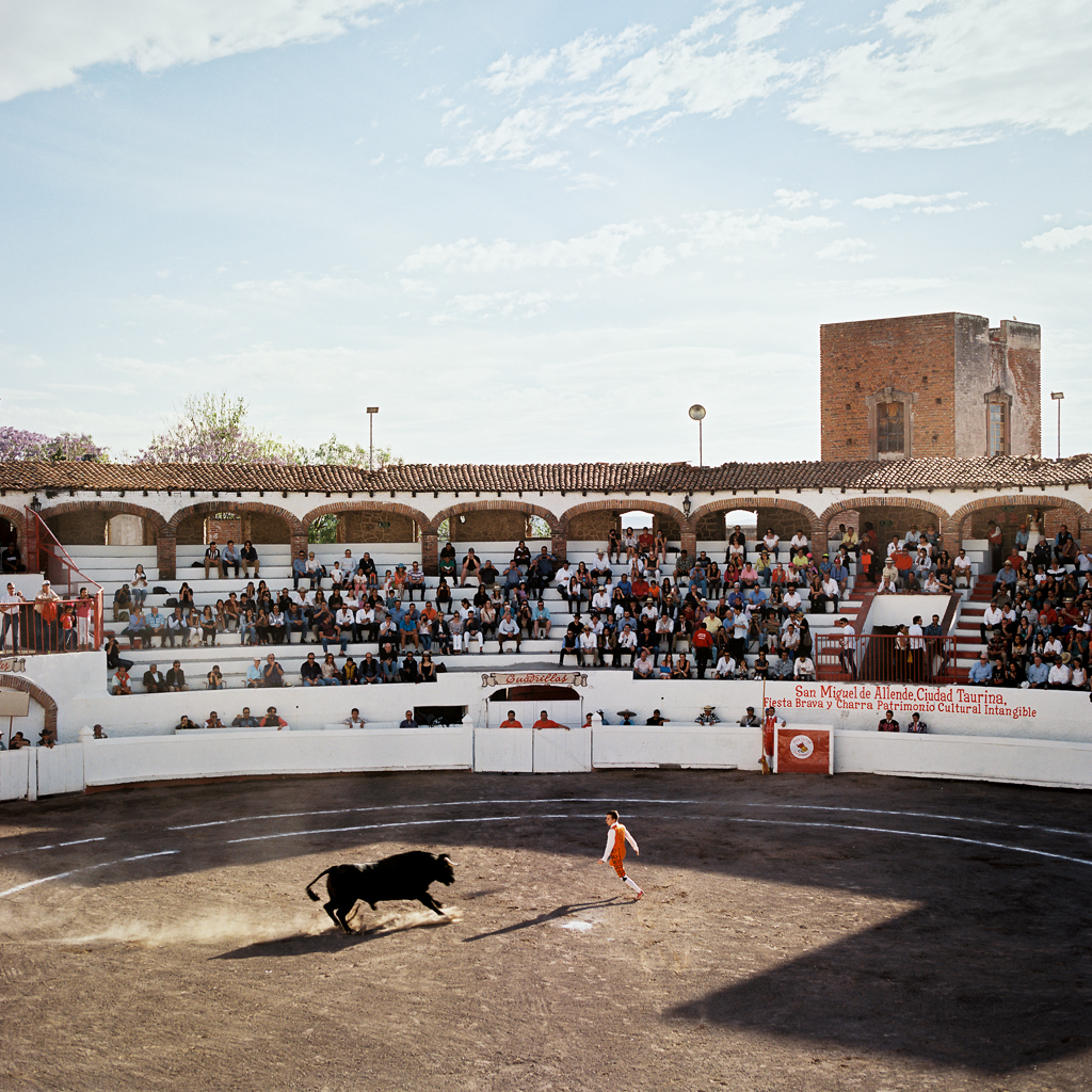 Taryn Baxter Photographer San Miguel De Allende