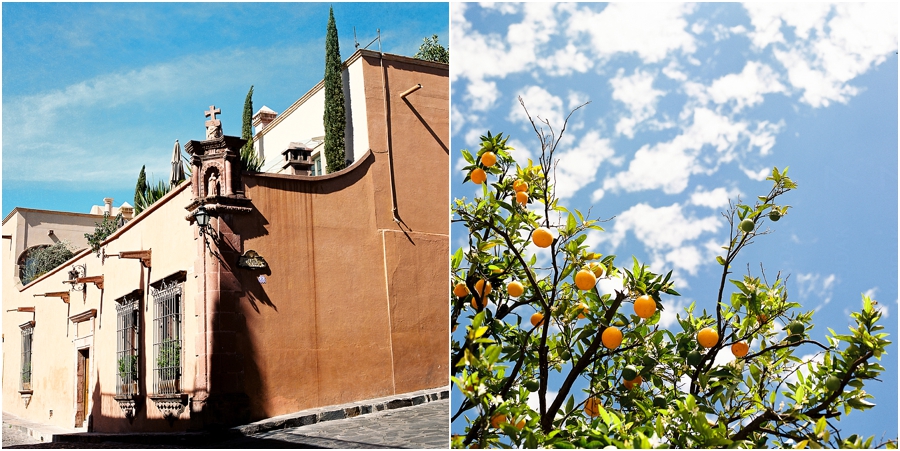 Taryn Baxter Photographer_San Miguel De Allende