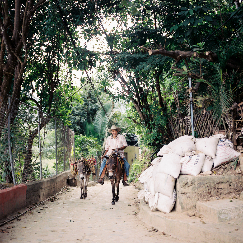 Taryn Baxter Photographer_Yelapa_Hasselblad