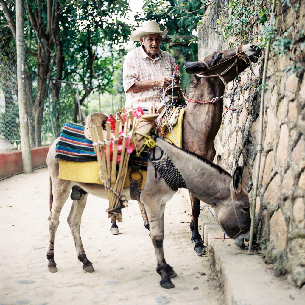 Taryn Baxter Photographer_Yelapa_Hasselblad